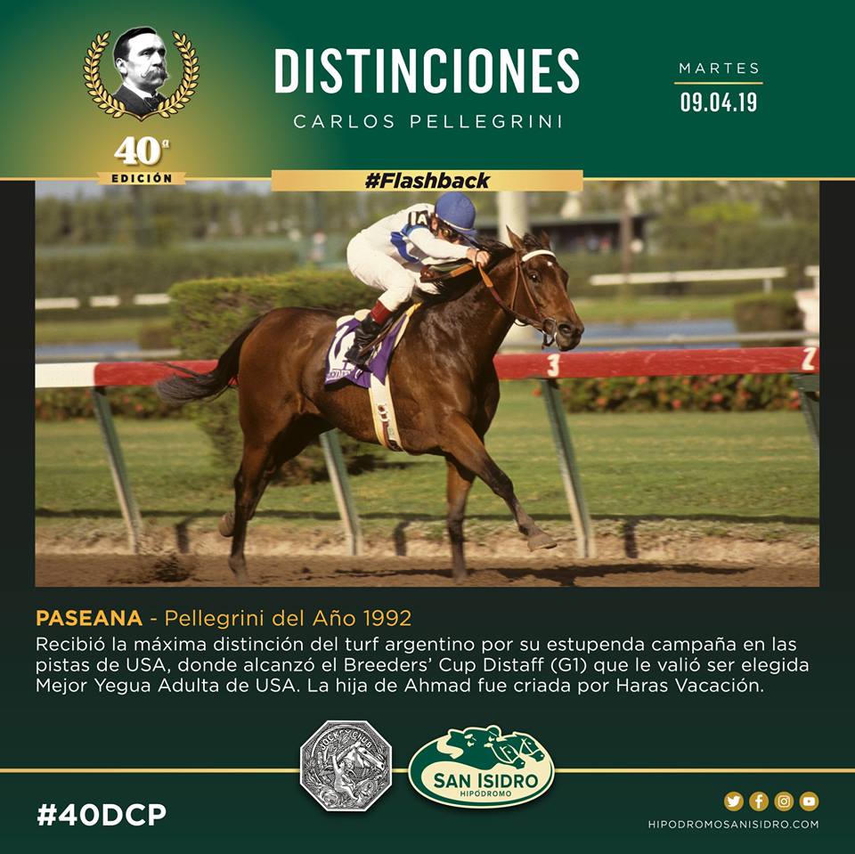 HipodromoSI's tweet photo. #40DCP en el @HipodromoSI 🐴
#FlashbackHSI 🏇
#LaCasaDelTurf #SomosHSI https://t.co/wTjH5vSIaD