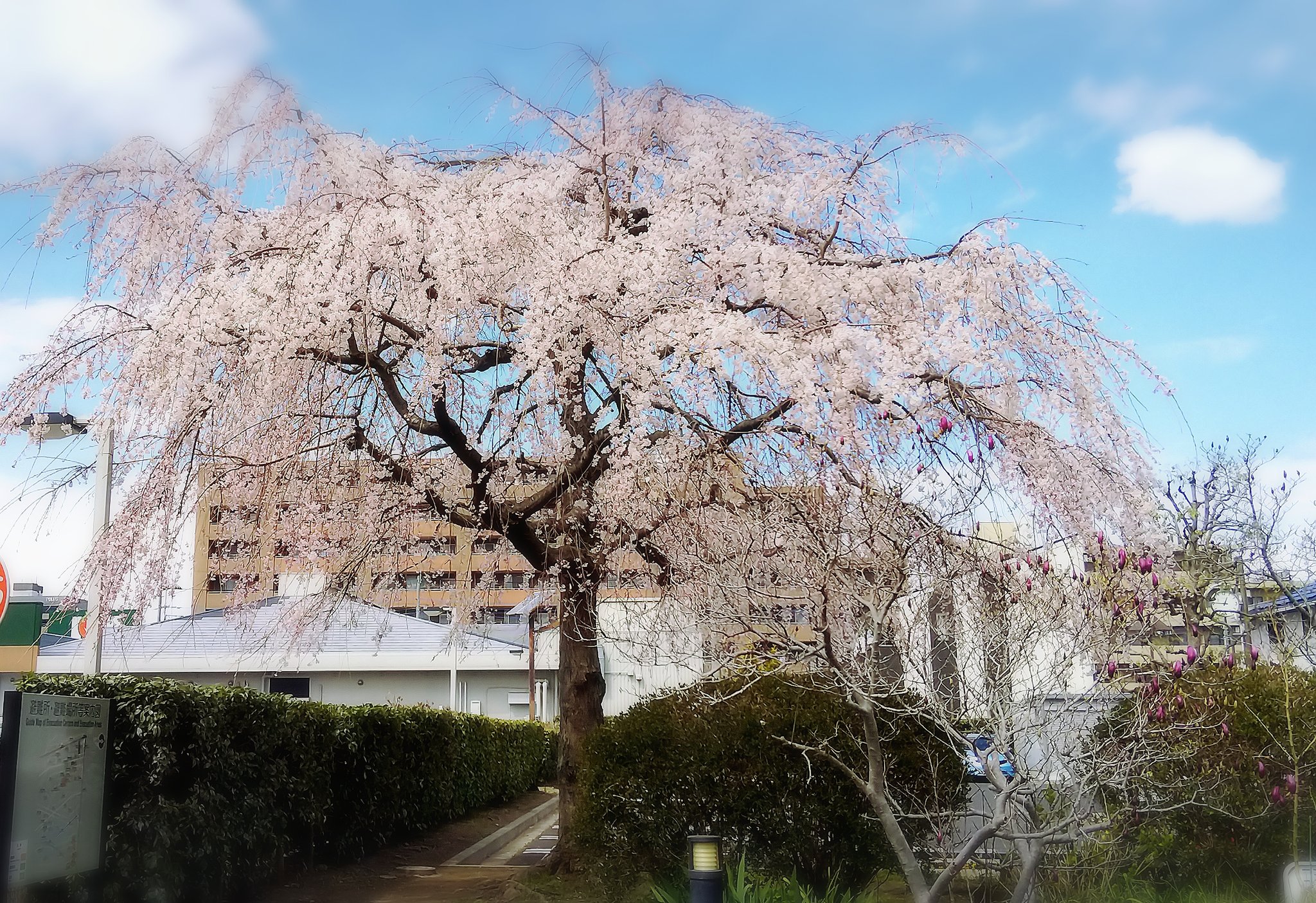 夢の碑 Twitter Search Twitter