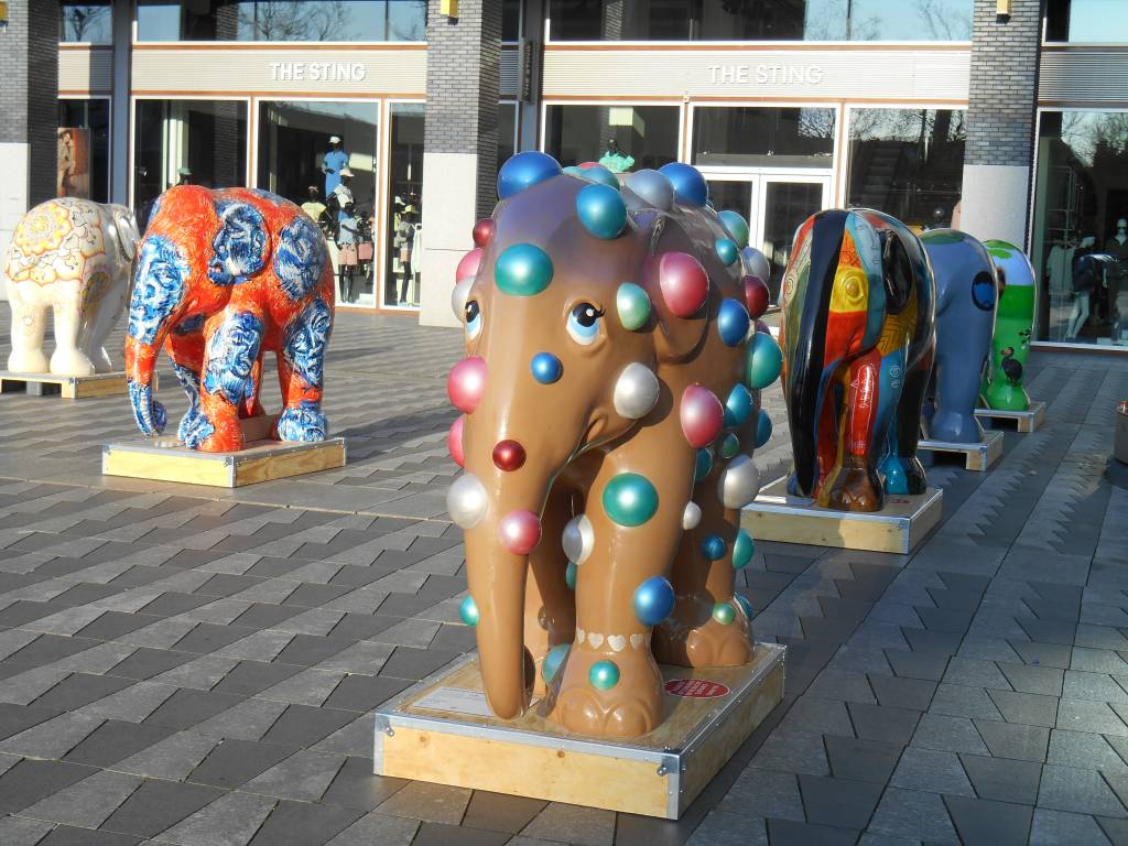 Elephant Parade op Pieter Vreedeplein tilburgsekoerier.nl/nieuws/olifant… #Tilburg