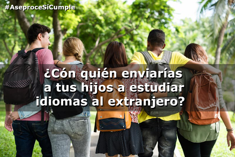 ¡Seguridad y calidad para tus hijos! Mañana martes, <a href="/aseproce/">Aseproce</a> anunciará las acciones que está llevando a cabo para luchar contra el intrusismo en el sector y sus consecuencias porque la seguridad de tus hijos es lo más importante. #AseproceSíCumple