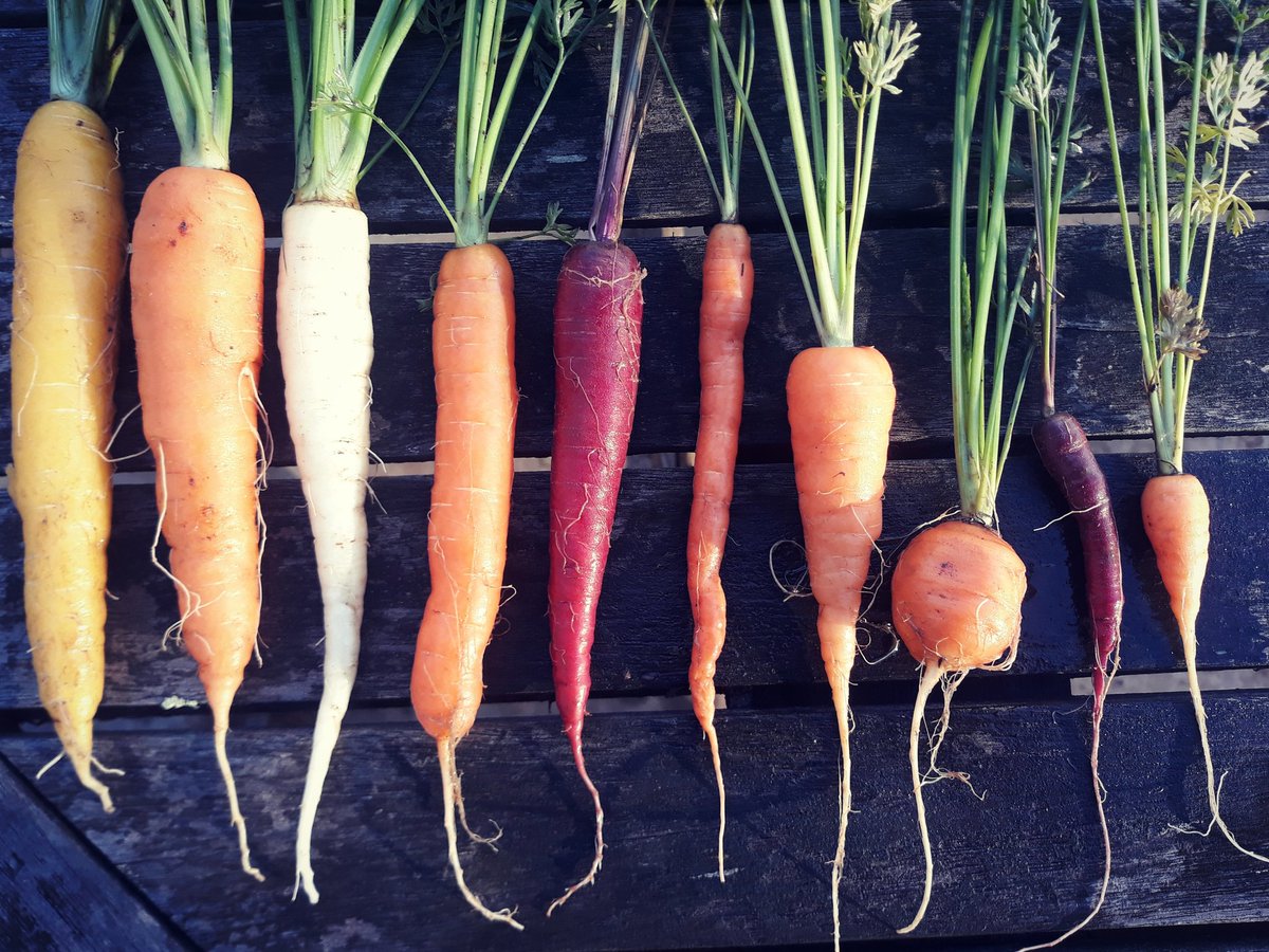 Jennifer Pryke tweet media