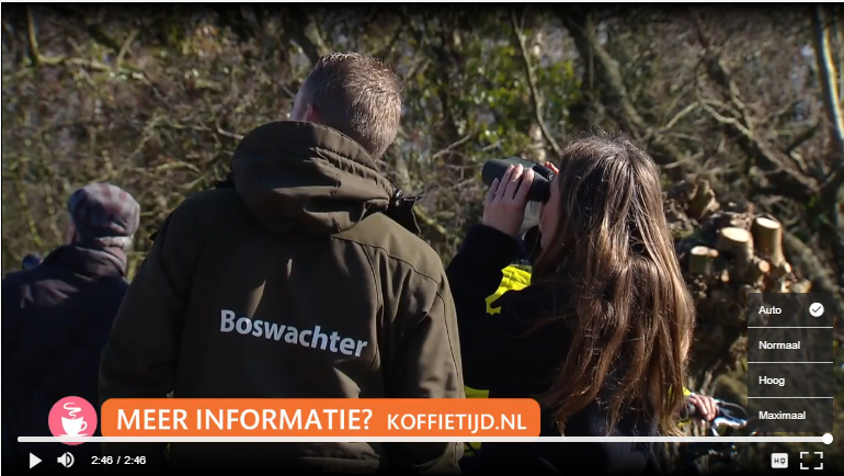 BoswachterKees's tweet photo. Onze lepelaarskolonie van de Lieden was vanmorgen op tv bij @rtlkoffietijd ! Als je goed kijkt zie je mij ook langskomen ;). Kijk het fragment terug via onderstaande link 
https://t.co/mbwSsp9dPz @landschapnh @vogelnieuws https://t.co/ERcnOS91LH