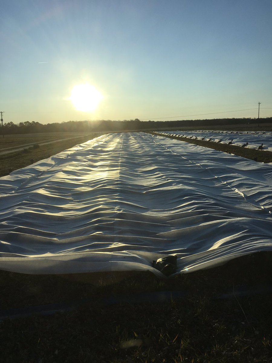 wright_iv's tweet photo. Under the covers on #Marylands #EasternShore #camarosa #noaprilfools https://t.co/4vE2DeVXNy