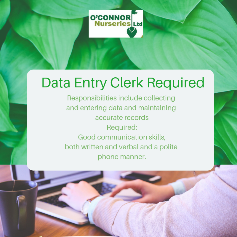 O'Connor Nurseries (@oc_nurseries) on Twitter photo Data Entry person required at our office in #Gorey. Our ideal candidate has data entry skills, fast typing with an eye for detail and familiarity with spreadsheets Please send you cv to info@oconnornurseries.ie #jobfairy Data Entry person required at our office in #Gorey. Our ideal candidate has data entry skills, fast typing with an eye for detail and familiarity with spreadsheets Please send you cv to info@oconnornurseries.ie #jobfairy