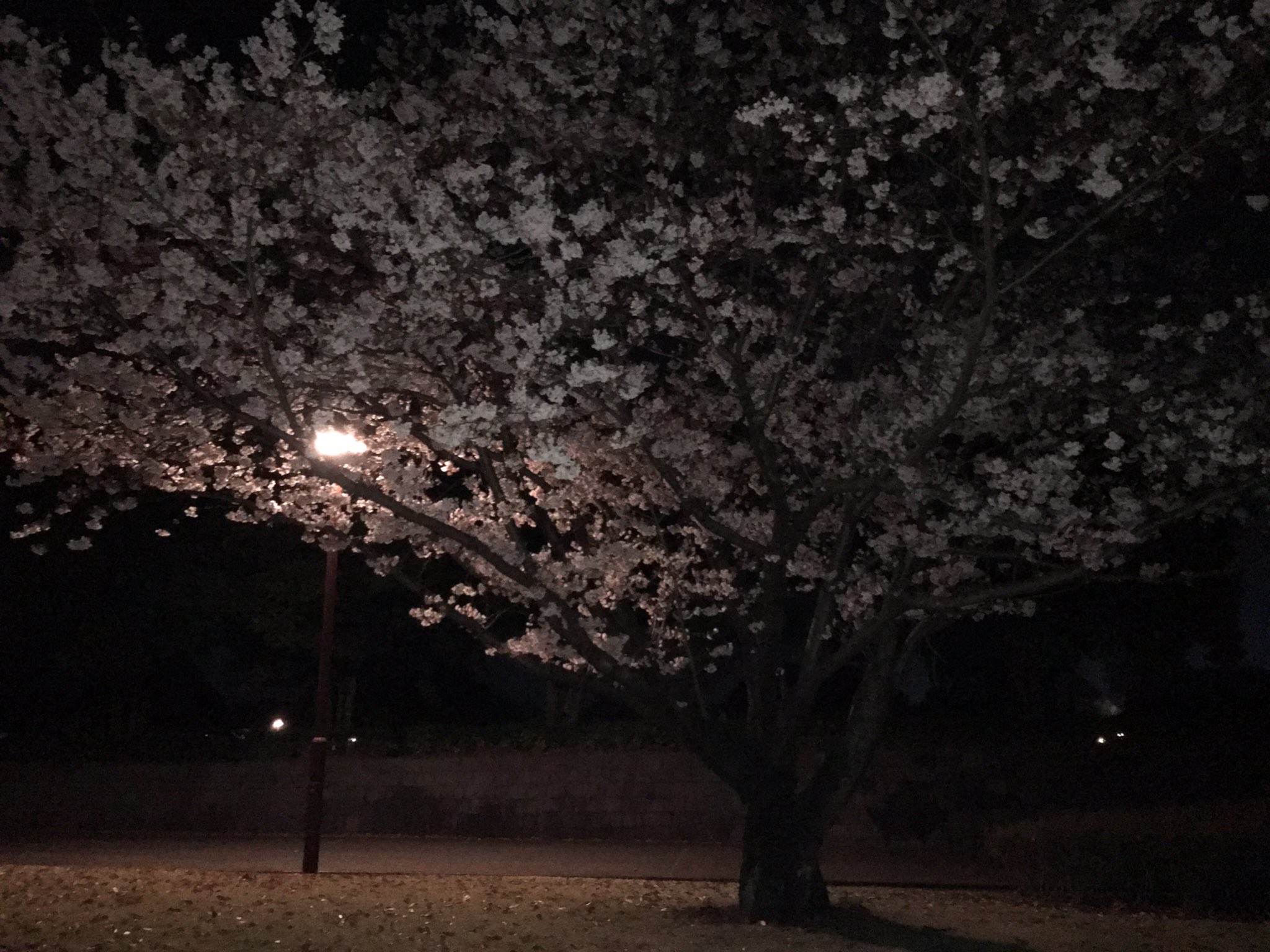 うまかなよかなスタジアム Twitter Search Twitter