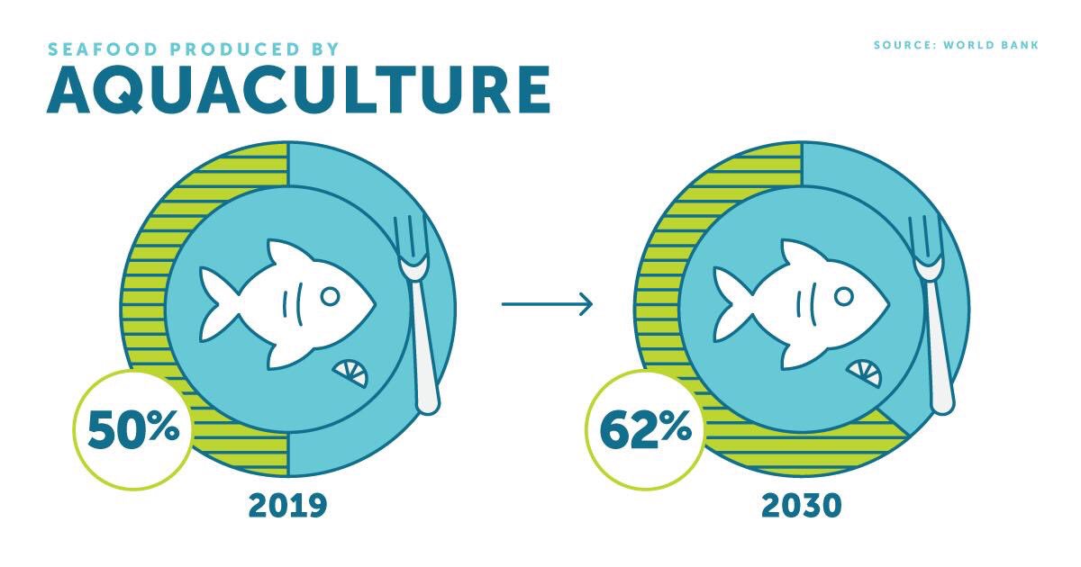 OpenBlueCobia's tweet photo. In 2019, about half of the seafood we eat comes from #aquaculture #mariculture #waterfarming
🐟🌎
By 2030, it will be about two-thirds!
🐟🐟🌎
Via @GAA_Aquaculture
...
#worldbank #aquaculture101 #GAA #openblue #oceanraisedfish #cobia #pacificsnapper https://t.co/jQQp9loGJ1
