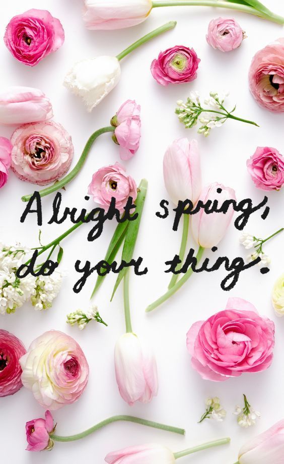 Sambel08's tweet photo. New month, new goals!@thebloggerGals @littleblogrt #writingcommunity #bloggingtribe #bloggerloveshare @bloggingladies @bloggershut #bloggersHutRT #momblogRT @teaandpost @thebloggerspost @bloggingbabesRT @lovingblogs @bloggerVueโฆ https://t.co/W3NOhb6QzR https://t.co/Qi6mkHWl6P
