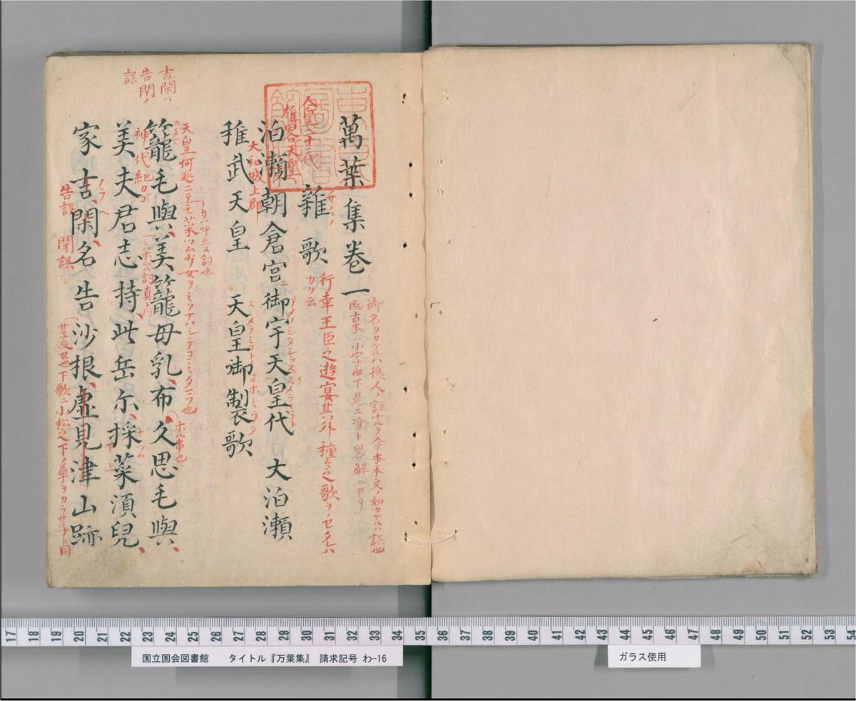 動物の壁紙 Hd限定国会 いらすとや