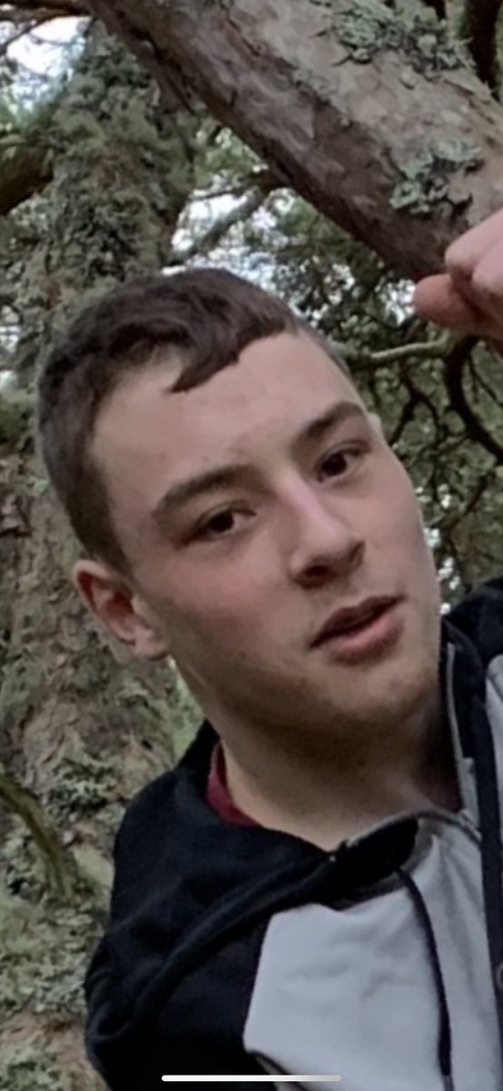 Anyone seen our loon jamie taylor he has been missing since yesterday. 😢😢Were worried and want him home safe and sound. Please share