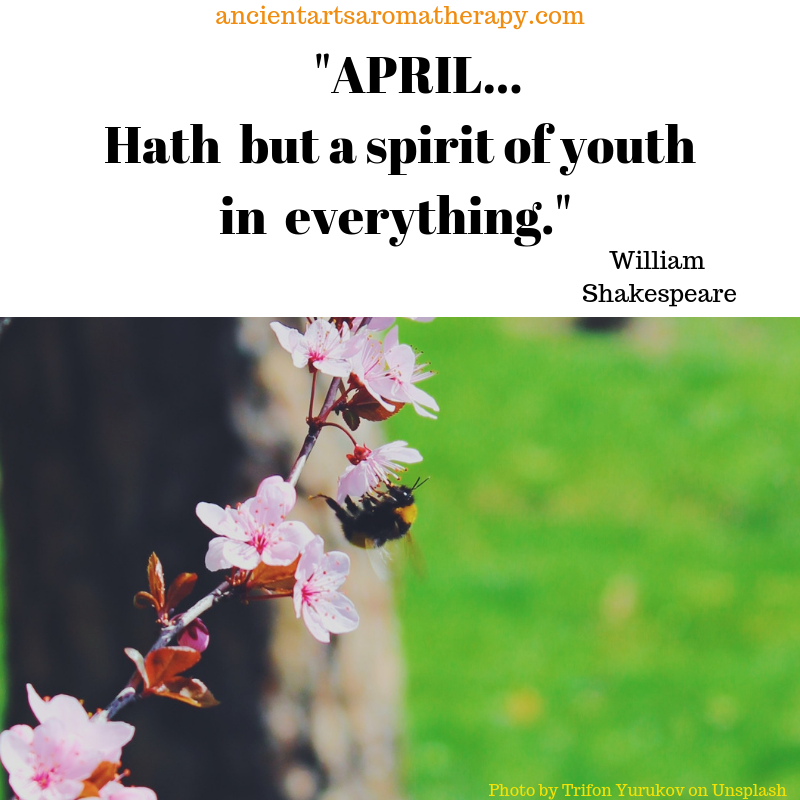 AAAromatherapy's tweet photo. Happy April! Monday Quotes #aprilquote https://t.co/JzyTllmg8K