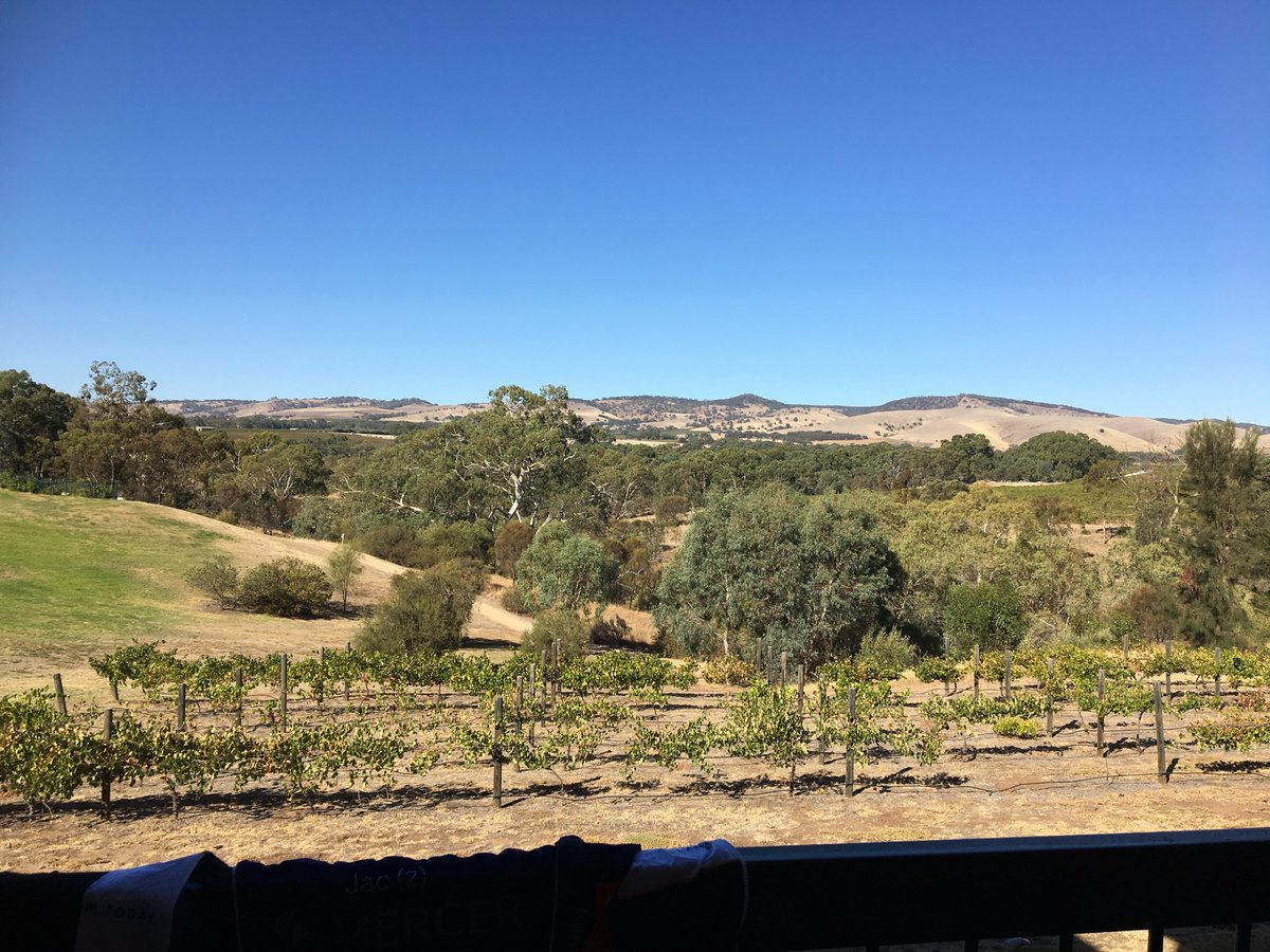KJ_AUS's tweet photo. #MercerSuperCycle19 and no photos of Lycra today. Afternoon in the stunning @NovotelBarossa, followed by dinner in the @yalumba dining room.  Almost worth riding a 💯 km for 😂🚴‍♀️🚴‍♀️ https://t.co/3T5lC0iFtd