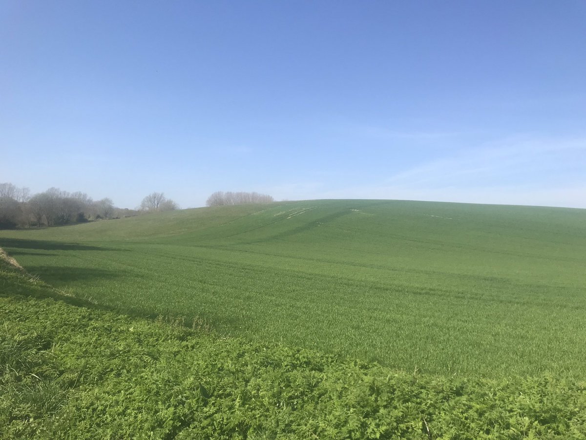 LWPropsearch's tweet photo. Stunning day buzzing about for a new client. Too sunny for paperwork so previewing and snooping a few off market rumours....👍 #offmarketaction #countryhouses #westberkshire #southoxfordshire #buyingagent https://t.co/IbG0oNopCu