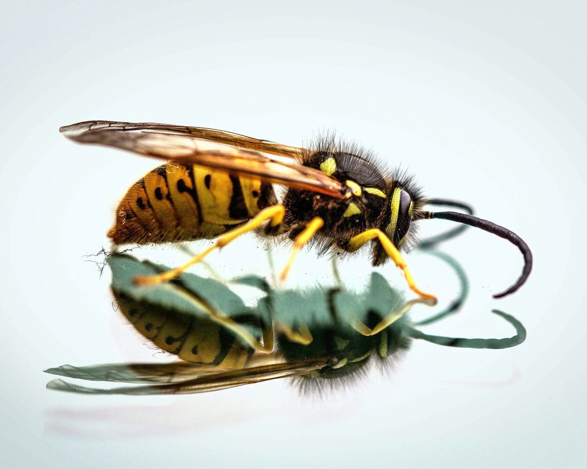 Staat Zomervacht van Jaap Robben (<a href="/De_Geus/">Uitgeverij De Geus</a>) al op jouw to-read lijstje? business-bubbles.com/nl/recensie-zo…