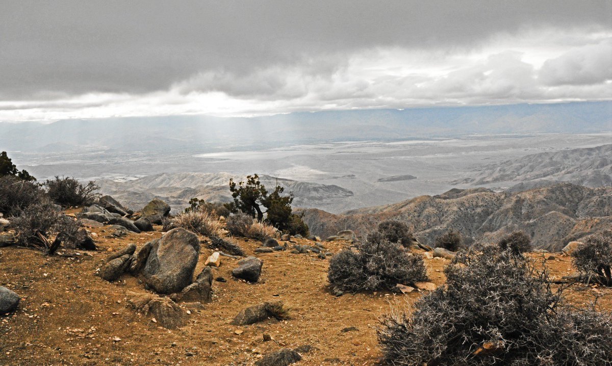 Hello April ☀️
Looking for trip inspiration? Don't look further - explore our April hightlights

In our mini travel guides we show you interesting spots in
Rome 🇮🇹, Joshua Tree N'Park 🇺🇸🌵 and Shanghai 🇨🇳

Read about the amazing sights: 
➡️ mundolore.com/explore#inspir…

#travelguide