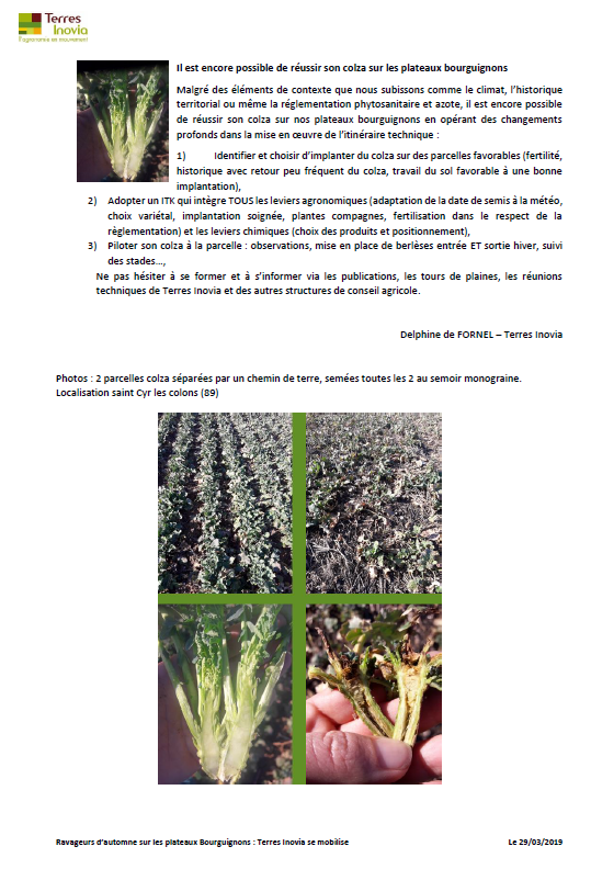 Aléas climatiques et attaques sévères de ravageurs affectent fortement la culture de #colza en particulier sur le territoire Bourguignon. Face à cette situation <a href="/terresinovia/">Terres Inovia</a> soutenue par <a href="/FopProducteurs/">FOP</a> est fortement mobilisé : analyser et comprendre pour apporter des solutions