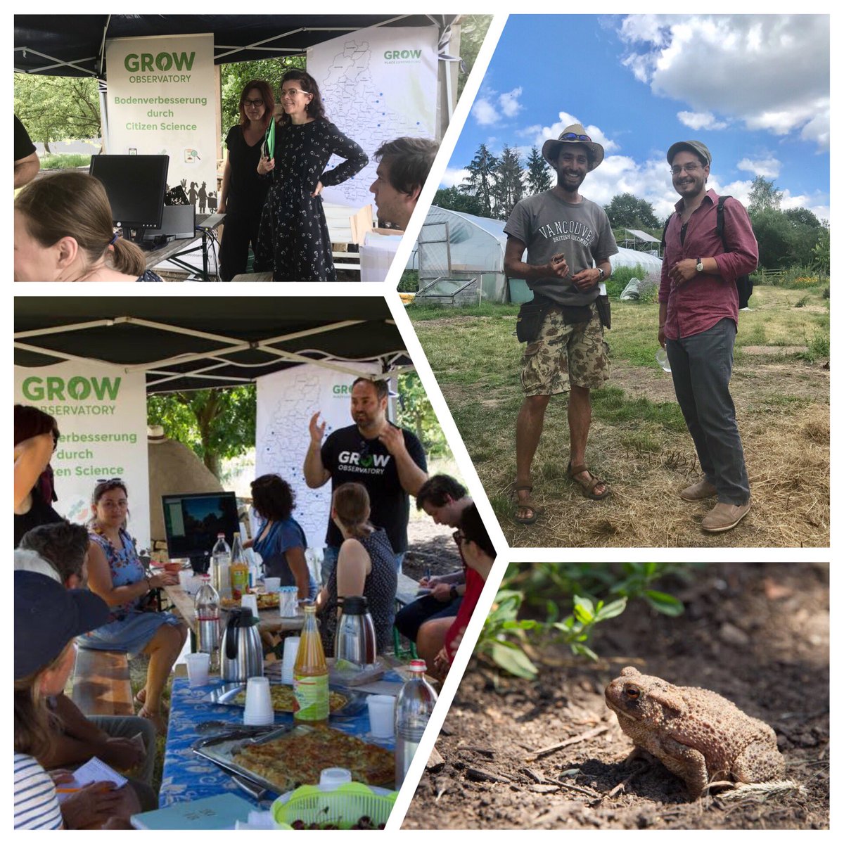 GROW Observatory tweet media