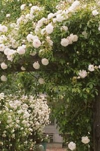 ᴀɢᴜꜱᴛ ᴅ2 ⟭⟬⁷ tweet media