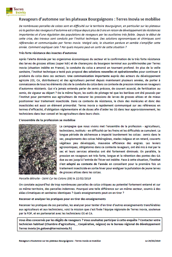 FopProducteurs's tweet photo. Aléas climatiques et attaques sévères de ravageurs affectent fortement la culture de #colza en particulier sur le territoire Bourguignon. Face à cette situation @terresinovia soutenue par @FopProducteurs est fortement mobilisé : analyser et comprendre pour apporter des solutions https://t.co/ALAu4rY11r