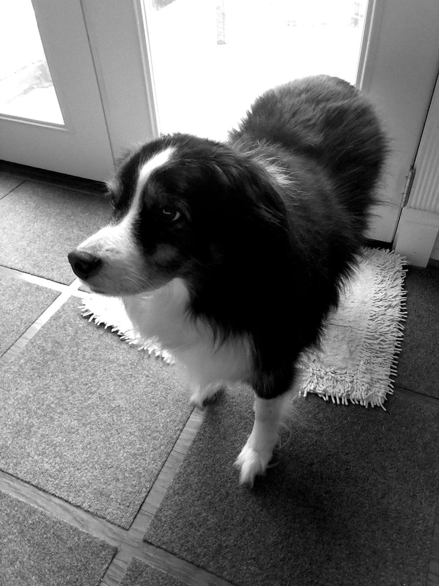 RBJohnsonII's tweet image. First snap using @EmulsifyCamera app - naturally it’s my fav b/w subject Glenwood!