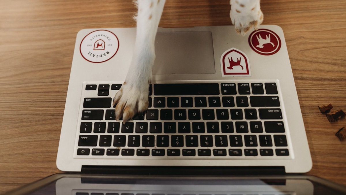 redtailhayley's tweet photo. So excited for the release of our new product this morning! #innovation #pathentication #redtailmalcolm #securelogin #redtailtechnology https://t.co/I29iybSFPZ https://t.co/RayfLpqKVa
