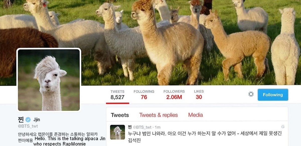 vocalgodjin's tweet photo. remember in 2016 april fools when jin changed the display to a tibetan sand fox and said its namjoon, so namjoon changed the display to an alpaca and said its jin, then they had a Twitter war of comparing each other to alpacas and foxes https://t.co/pQz29NvhhM