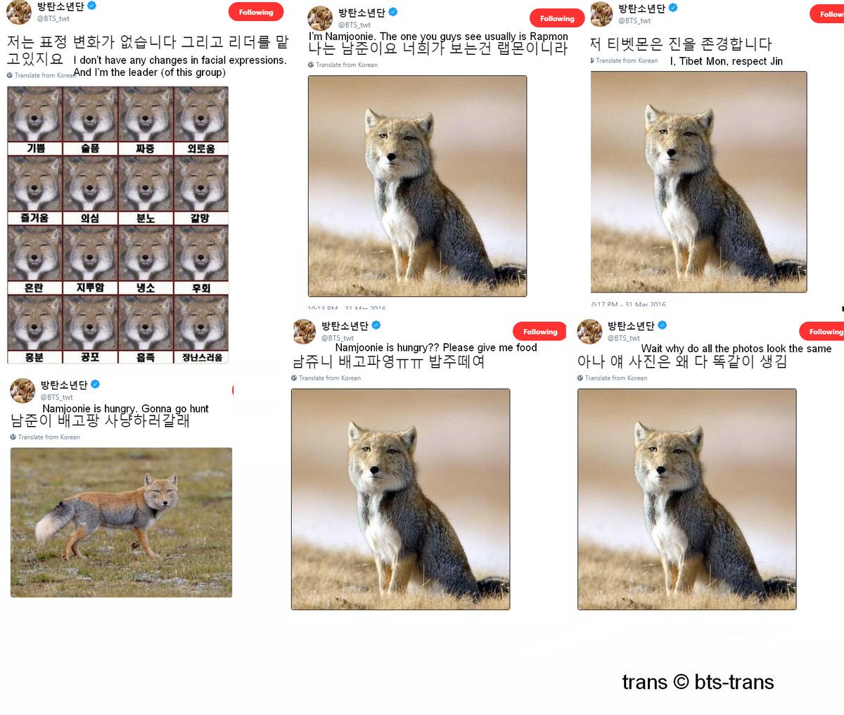 vocalgodjin's tweet photo. remember in 2016 april fools when jin changed the display to a tibetan sand fox and said its namjoon, so namjoon changed the display to an alpaca and said its jin, then they had a Twitter war of comparing each other to alpacas and foxes https://t.co/pQz29NvhhM