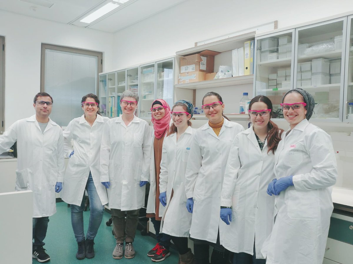 MaayanSalton's tweet image. Spring cleaning at the Salton Lab. So much nicer when everything is clean #TidyLab.