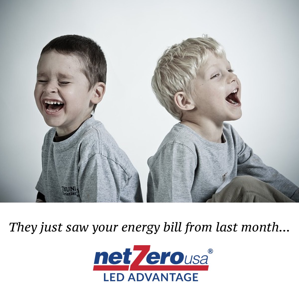 Netzero USA, LED Advantage tweet media