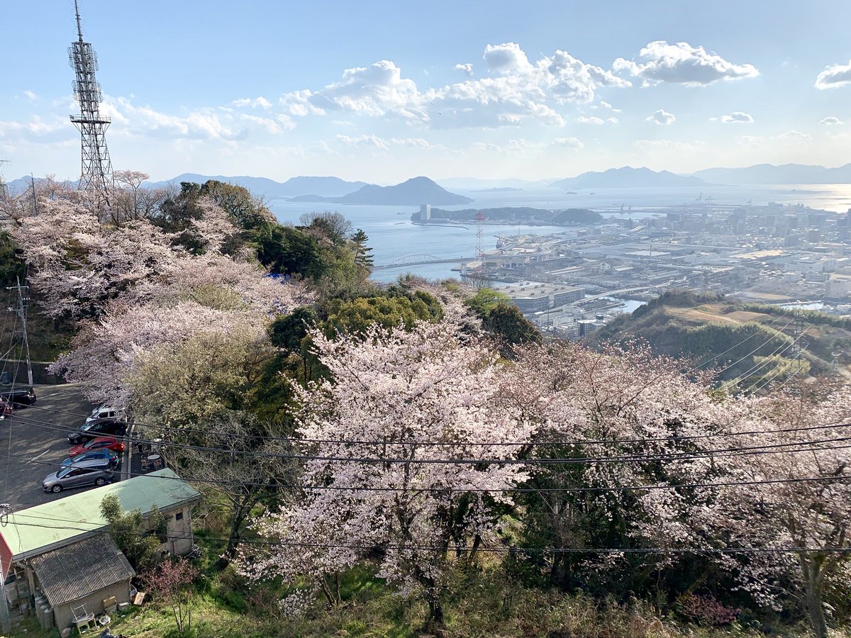 kagawatch's tweet photo. After viewing #Shukkeien (Japanese garden), I went to Mt. #Ougon to view cherry blossoms.

日本庭園、#縮景園 での桜を観た後は、
#広島 市内一円を眺望できる、
#黄金山 へ。ここも桜は満開では
なかったですが、山頂展望台から
眼下に広がる広島市内の眺めは良く、
いい気分転換になりました。 https://t.co/VUdJkyUO9k