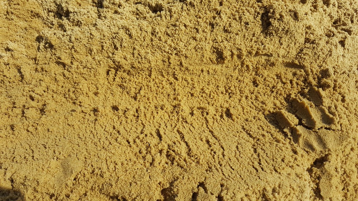 PaceBarry's tweet image. Straight from Stockpile to Dresser @KingswoodGC with @DavidGibbs96 recycling his old bunker sand for Tees and Aprons with our @MJAbbottLtd #Ultradeck
Patience with speed means it's as clean as it turned up first time round... 👍