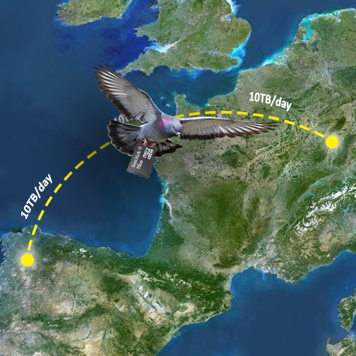 storagesoftware's tweet photo. Open-E JovianDSS with a new protocol - IP over Avian Carriers (#IPoAC). IPoAC offers significant advantages for transferring big amounts of data with high average throughput - 10TB/day and more, depending on your pigeon's strength and speed: https://t.co/MvbCTn30Hi
#AprilFools https://t.co/fhqkOYic9o