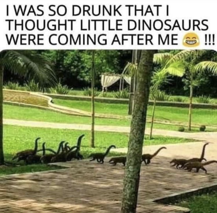 SecretsHideaway's tweet photo. Wow! What a wild weekend at Secrets Hideaway Resort & Spa! Can’t wait to do it all again! In the meantime, #ClubSecret is bringing you the best in #Lifestyle entertainment 7 days a week! #swingers #sexploration #clothingoptionalresort #secretshideaway #sexy #positivevibes https://t.co/2uoVMbEwxf