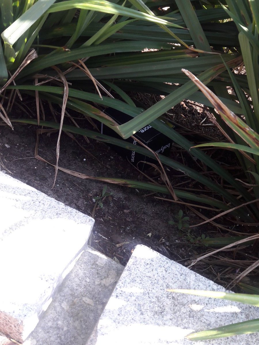 LCIconstruct's tweet image. Ballymore eggs are now hidden, ready for the faradsy school egg hunt this afternoon