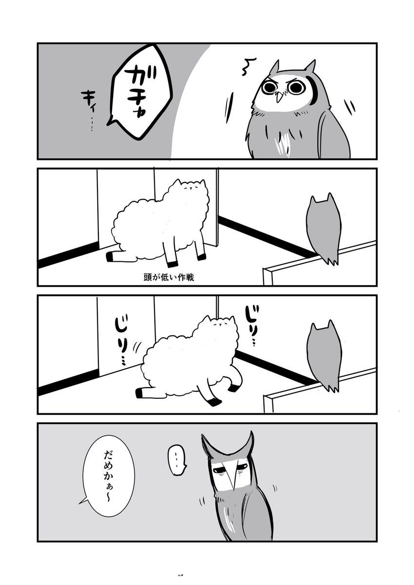 フクロウとわたし 