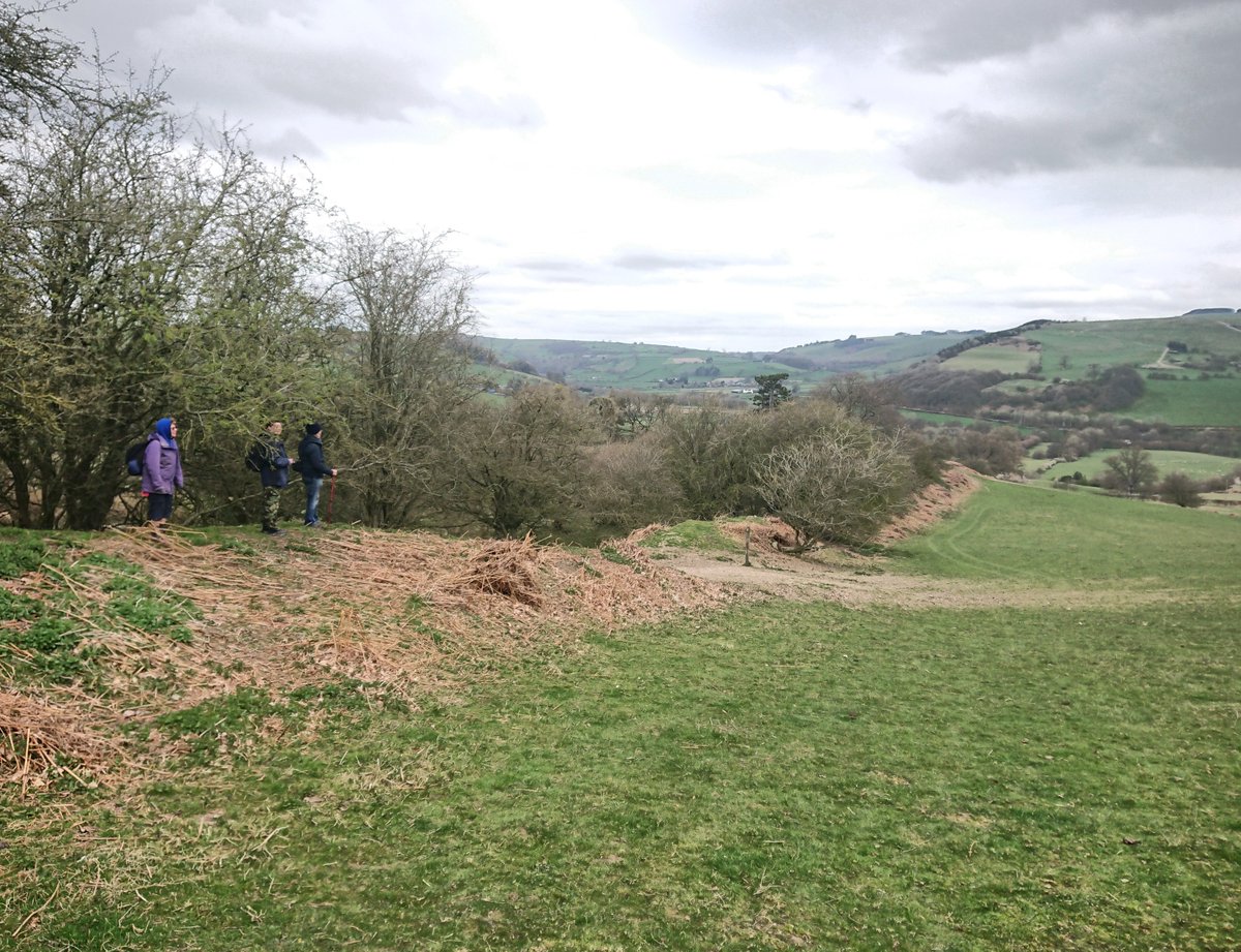 OffasDykePath's tweet photo. @offasdykecentre here is the same section, picture taken 31st march 2019, @offasdykecentre @howardmrw @cadwwales @NationalTrails , it's on the descent from Pen Offa to Yew Tree Farm near #Discoed https://t.co/pMlieJG2e5