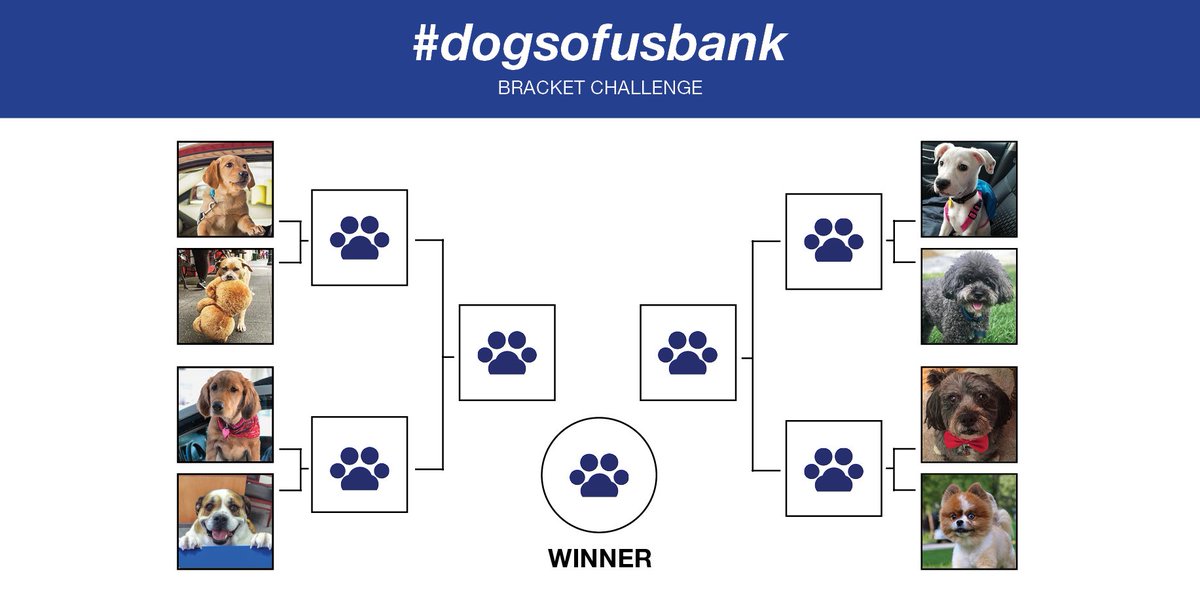usbank's tweet photo. Round one of the #DogsofUSBank bracket is here! Vote for your favorite pup out of these eight. The champion will have a $1,000 donation made in his/her honor to @ccicanine. #contest https://t.co/LcxsRubcjt https://t.co/5k0OmNBJfb