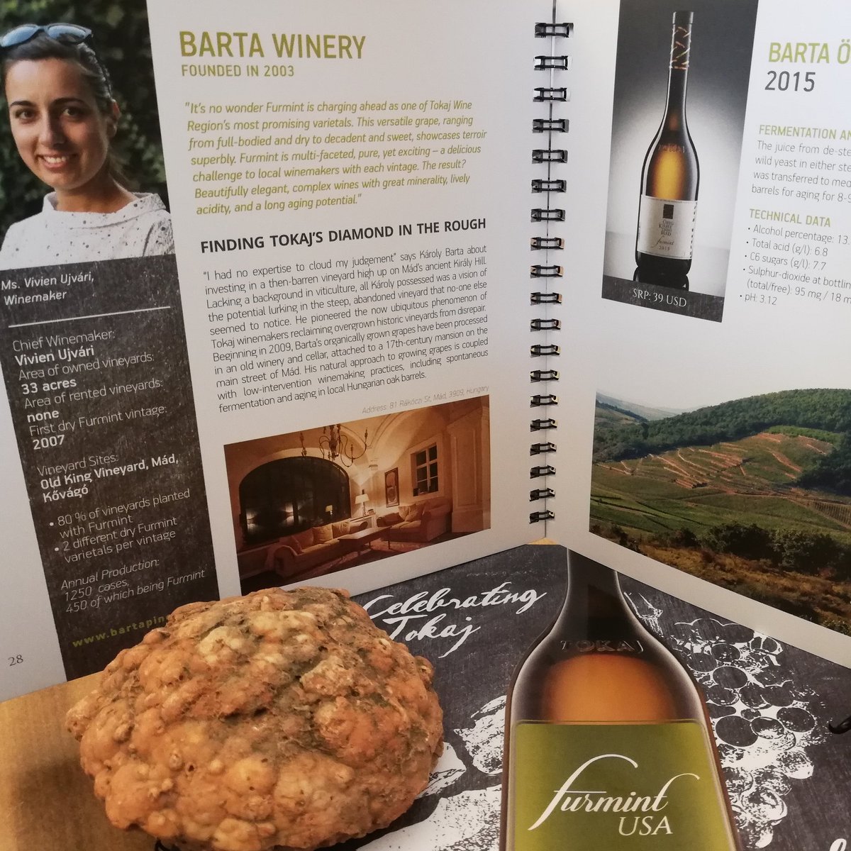 Celebrating Tokaj by <a href="/furmintUSA/">FurmintUSA</a>
✨💚✨💚✨💚✨
#tokajwineregion #furmint