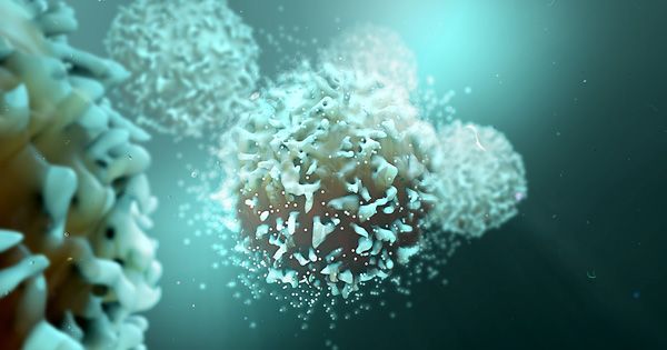 National Cancer Institute tweet media