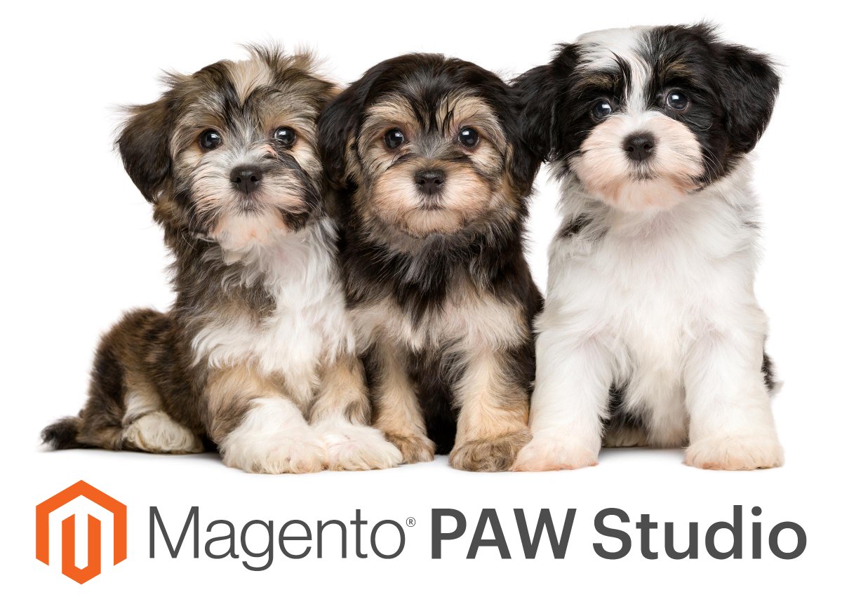 ericerway's tweet image. Introducing... PAW Studio! 🐶