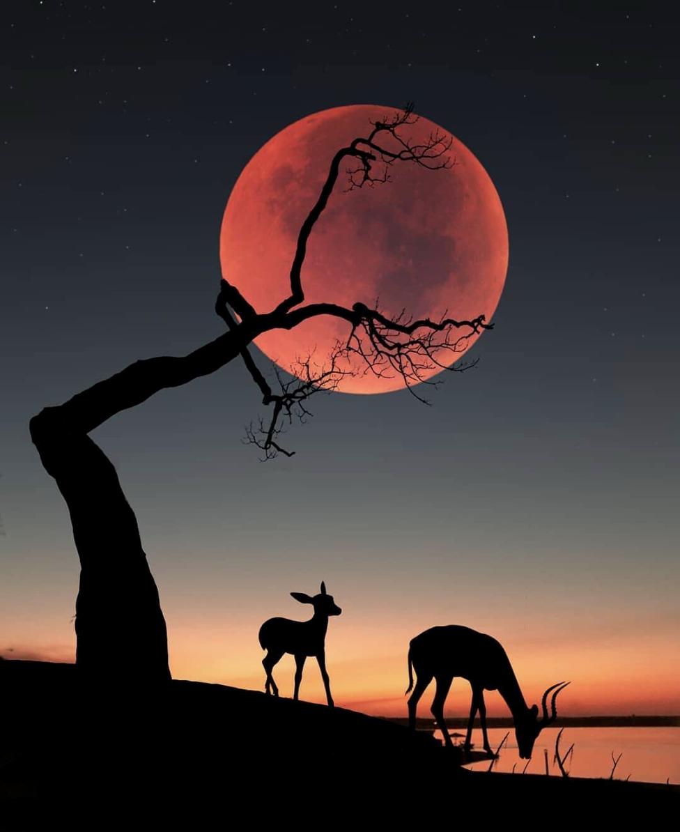 EarthPix's tweet photo. Moonrise dreams 🌚 Photo by @abdullah_evindar https://t.co/YPfHiMmtbx