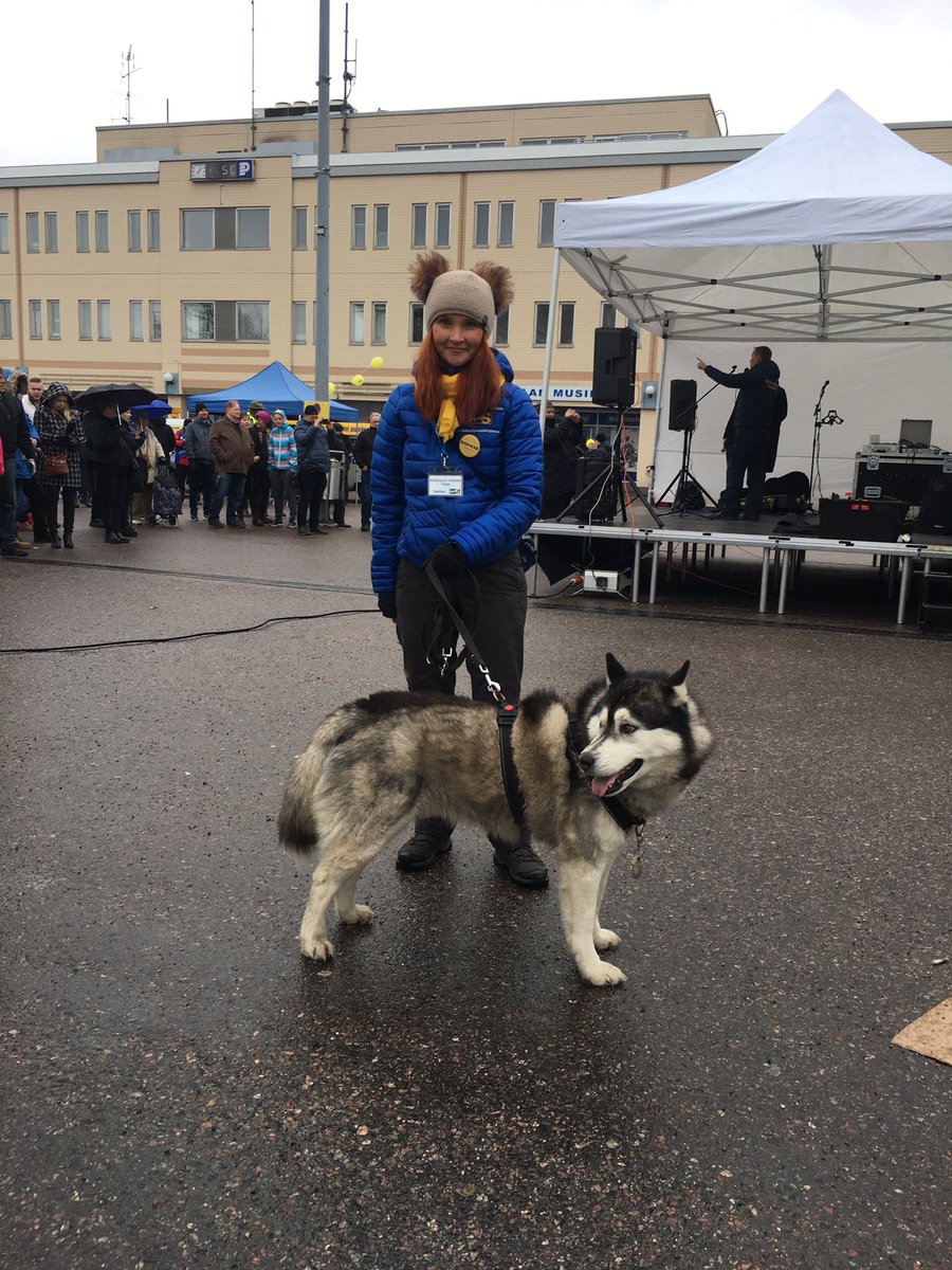 aidanjuuritanja's tweet photo. Koirakin pääsi eilen mukaan tekemään vaalityötä, perushusky 🐕🇫🇮💪😍 #eduskuntavaalit2019
#perussuomalaiset
#numero46
#seoikeatanja
#eduskuntavaaliehdokas
#vaalit2019 #husky https://t.co/WbCkKlw4pZ