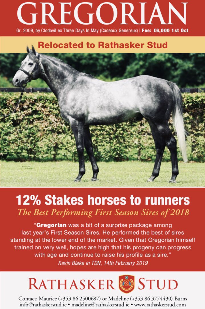 RathaskerStud's tweet photo. Gregorian notches up his SIXTH winner of 2019 as Gregarious Girl easily wins Milan 5F Maiden - Premio Razza Gerbido! #TrainingOn #RelocatedToRathasker 🇮🇪 https://t.co/72xUtUveDj