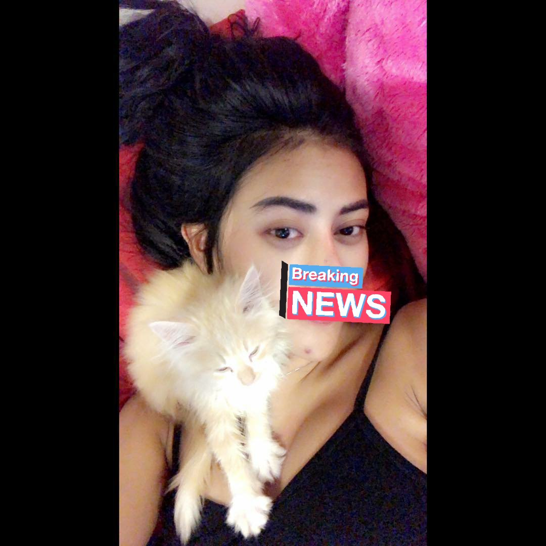 angelCroot's tweet photo. Expo makassar
Kepoin slot akuh ya..
#expomakassar 
#availmakassar 
#Bomakassar 
#bokinganmakassar
#angelmakassar 
#bispakmakassar 
#bisyarmakassar 
#wpmakassar
#OpenBOMakassar 
#Makassar 
#makassarcrot 
#RealBO 
#TrustedAngeL 
#TrustedBooking 
#Recomended4BO https://t.co/Lt6xASTCBr