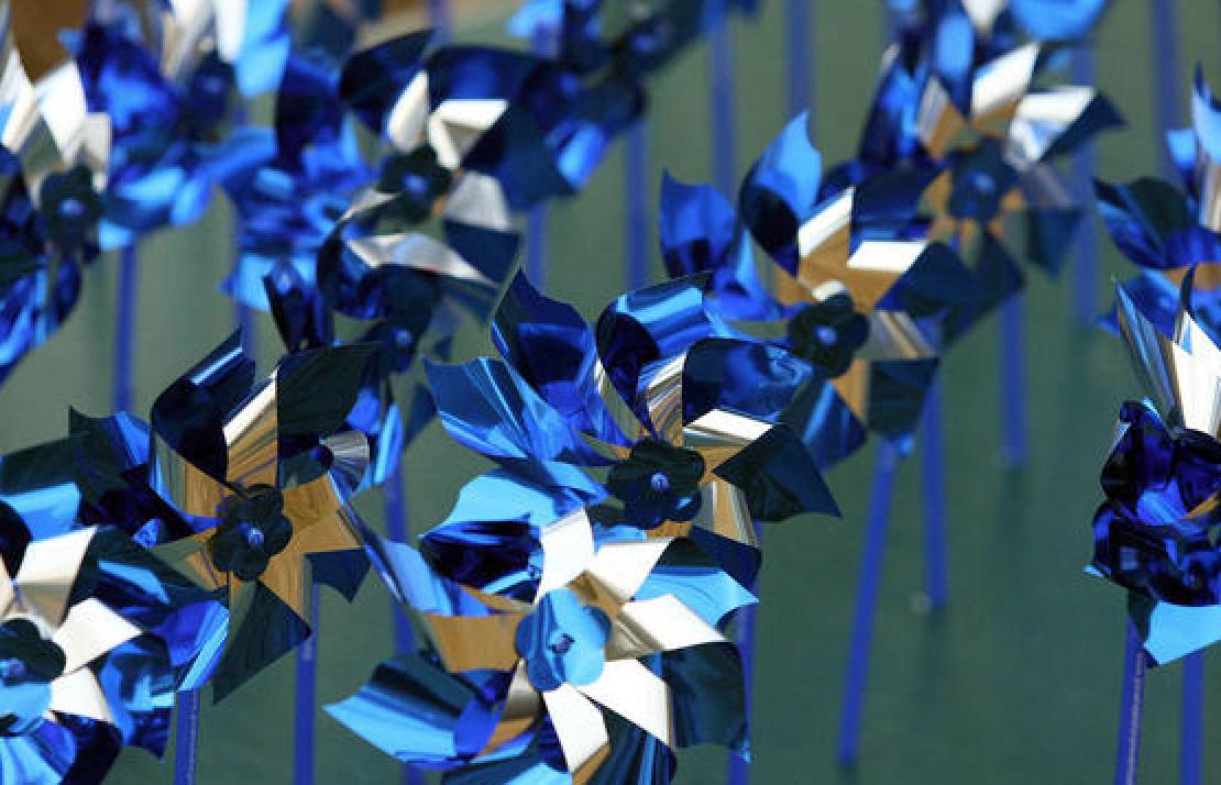 PCADelaware's tweet photo. April is #ChildAbusePreventionMonth! #PreventionIsPossible #PinwheelsForPrevention #netDE #DEleg https://t.co/B2dGj2b6up