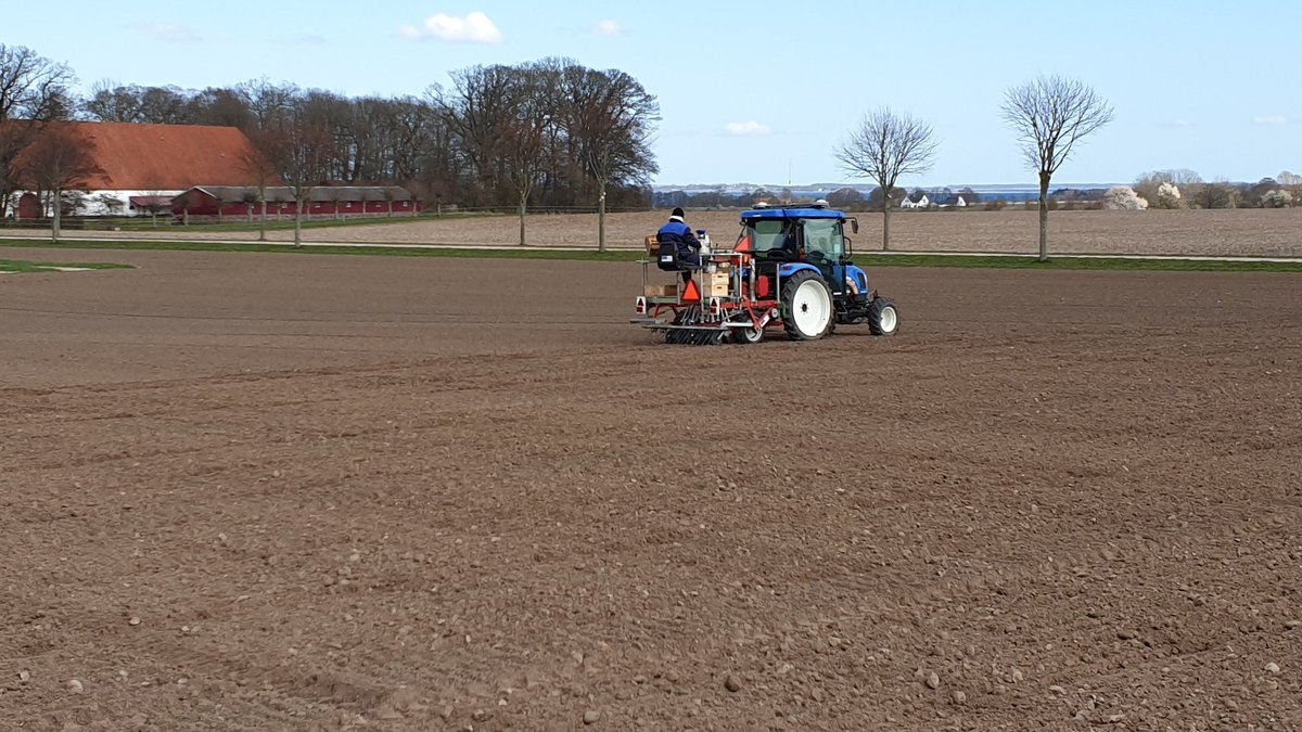 #springbarley drilling has finally started <a href="/PlantBreedFarm/">PlantBreedFarm</a> First in is the multiplications. 

#EmbracingNature #PlantBreeding #PlantbreedingDK