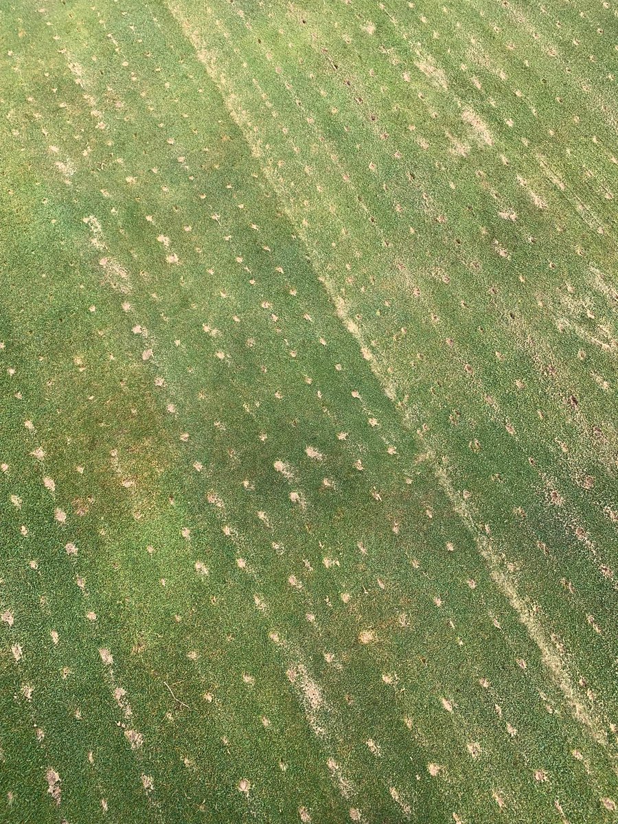 JimCamp1969's tweet photo. Dryject at Prairie Dunes this morning. https://t.co/HvK3bftmmC