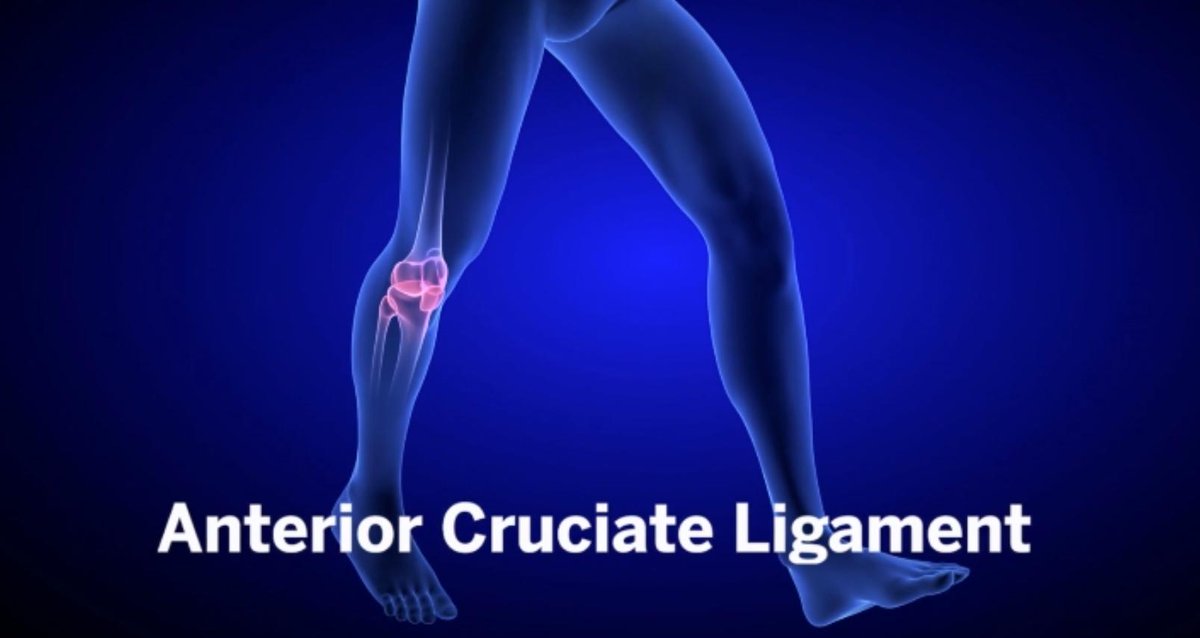 #FHSAA administrators and coaches are encouraged to share with their student-athletes the FHSAA's FREE April Course of the Month, "ACL Injury Prevention". It is a free online education course available on the NFHS Learning Center

nfhslearn.com/courses/61163/…