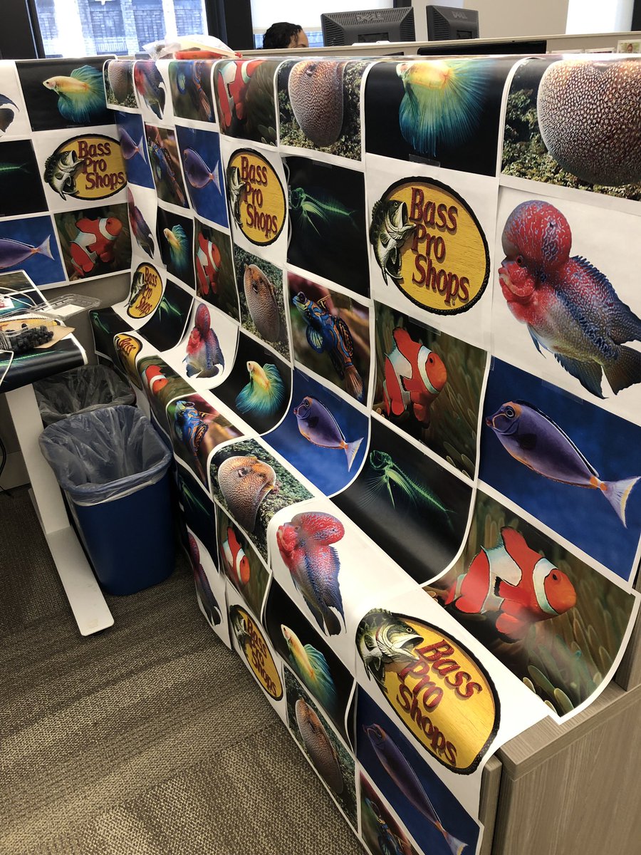 TCCstaff's tweet photo. Something's fishy here...although he is a @phish fan #AprilFoolsDay #officeprank #April1st https://t.co/UbtH4qSWqM