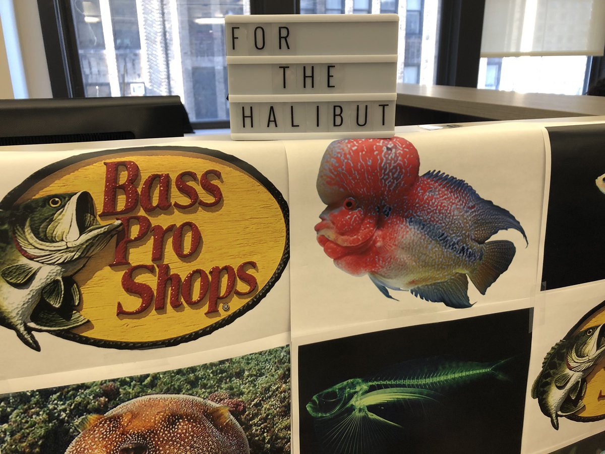 TCCstaff's tweet photo. Something's fishy here...although he is a @phish fan #AprilFoolsDay #officeprank #April1st https://t.co/UbtH4qSWqM