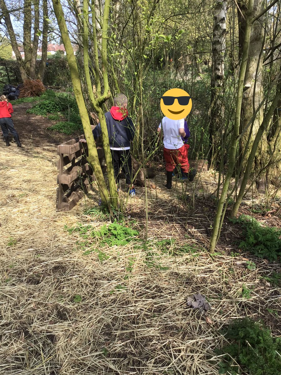 CooksterDebbie's tweet photo. Y2 have been busy today @RowParkAcademy #forestschool https://t.co/PEcMmFFk4X
